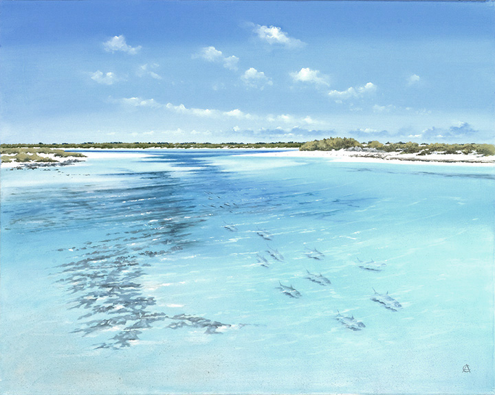 Falling Tide - Little Ambergris Cay