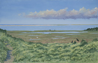 South Beach & Dow's Pond