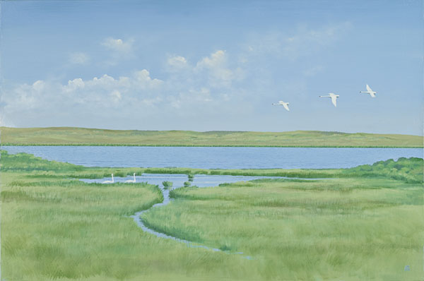 The Swans at Mattakeesett 
