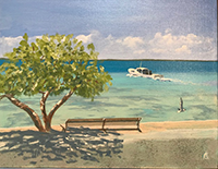Water Taxi to Eleuthera by Christopher Crofton-Atkins