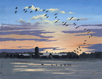 Evening Flight